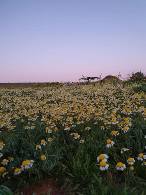 Namakwa Country Cottage Calvinia Exterior photo